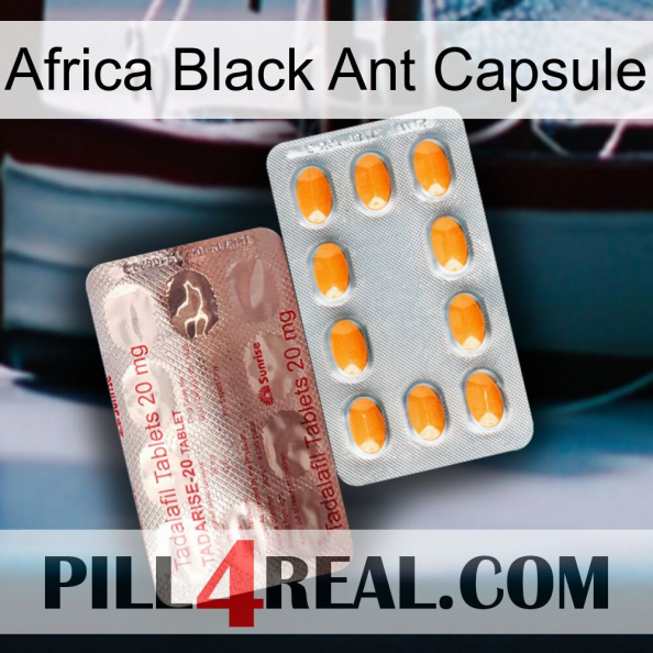 Africa Black Ant Capsule new13.jpg